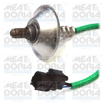 Oxygen Sensor